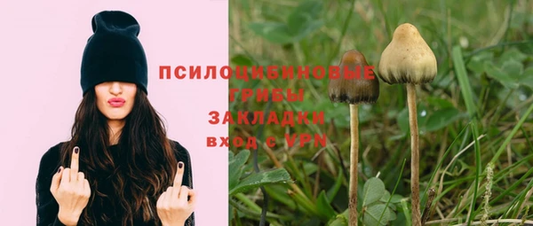 каннабис Абаза