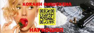 бошки Кингисепп