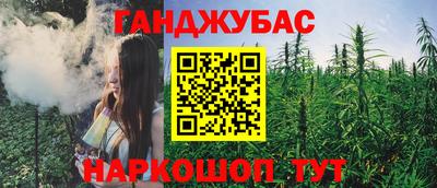 бошки Кингисепп