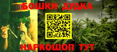 бошки Кингисепп