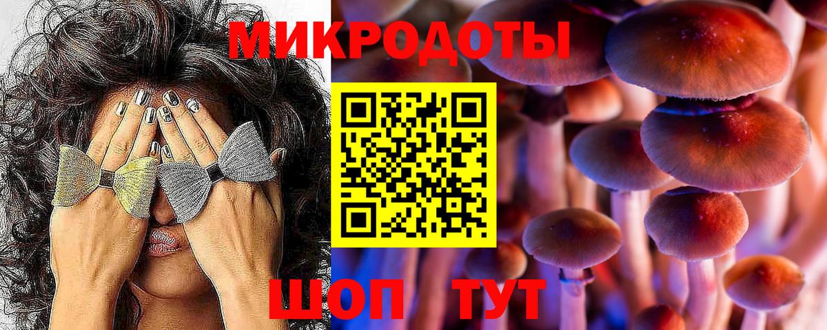 Псилоцибиновые грибы Magic Shrooms  Галлюциногенные грибы Psilocybine cubensis  Вход с VPN  Красный Сулин 